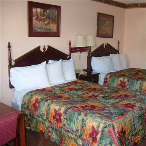 Clairmont Inn & Suites - Warren Номер фото